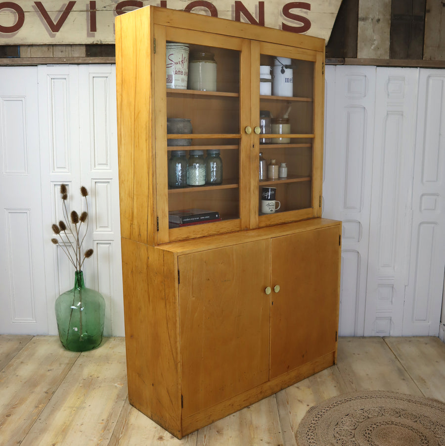 vintage_esavian_school_science_laboratory_cabinet_kitchen_cupboard