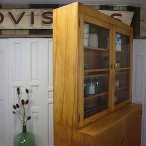 vintage_esavian_school_science_laboratory_cabinet_kitchen_cupboard