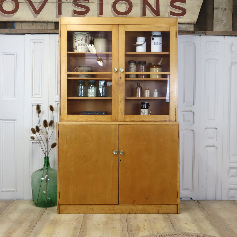 vintage_esavian_school_science_laboratory_cabinet_kitchen_cupboard